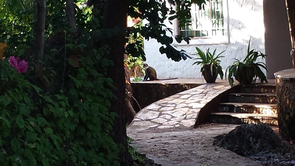 Villa Fortuna Malindi Exteriér fotografie