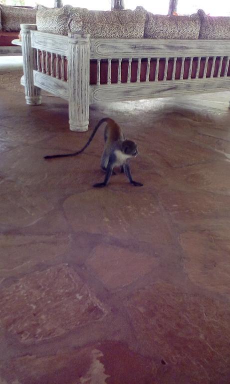 Villa Fortuna Malindi Exteriér fotografie